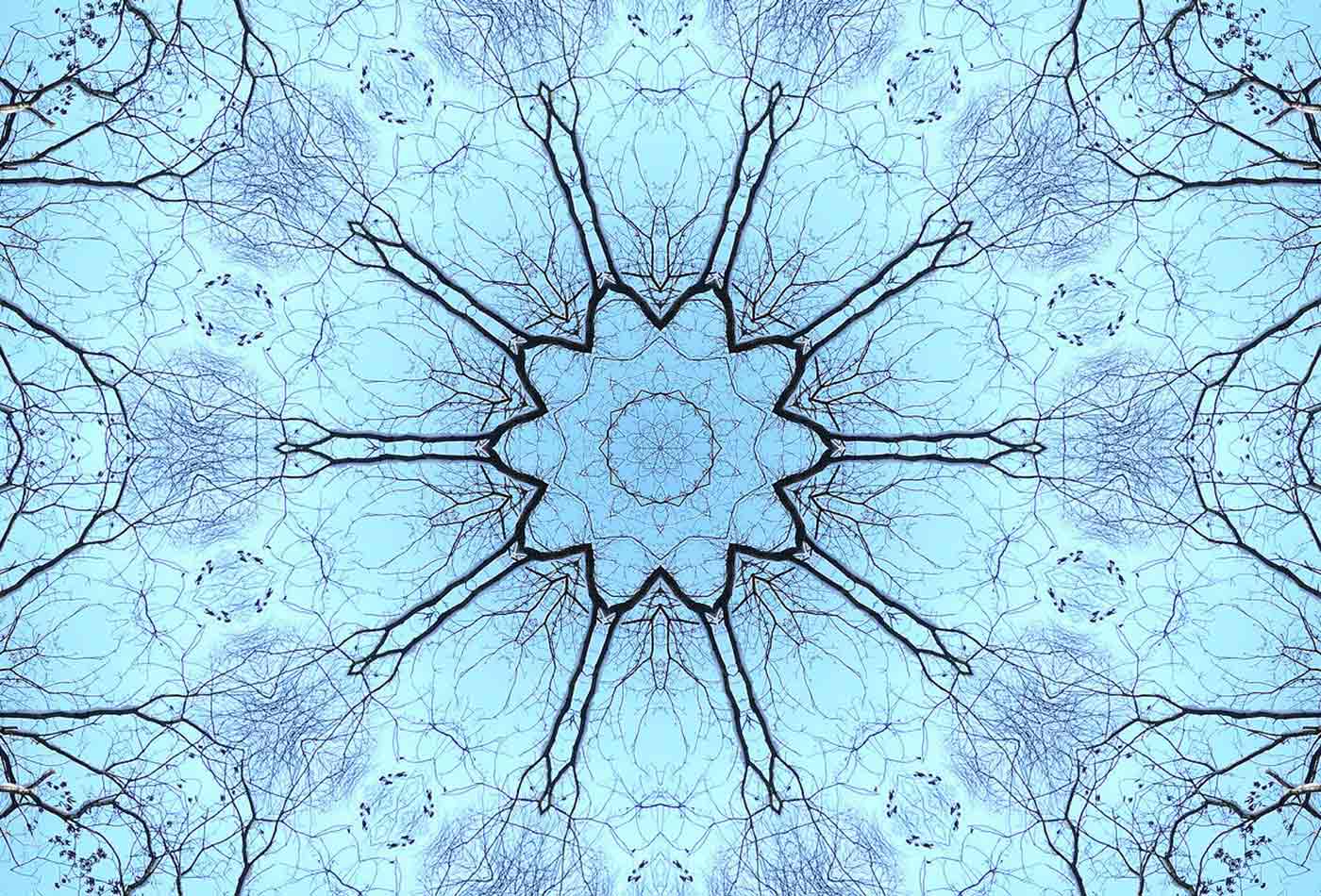 Nature-kaleidoscope